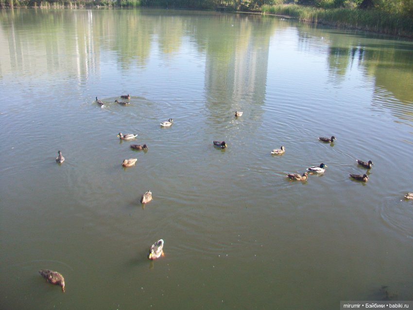 Сентябрь.Озеро Харовое — Игровые куклы разных производителей (Разное): редкие бренды