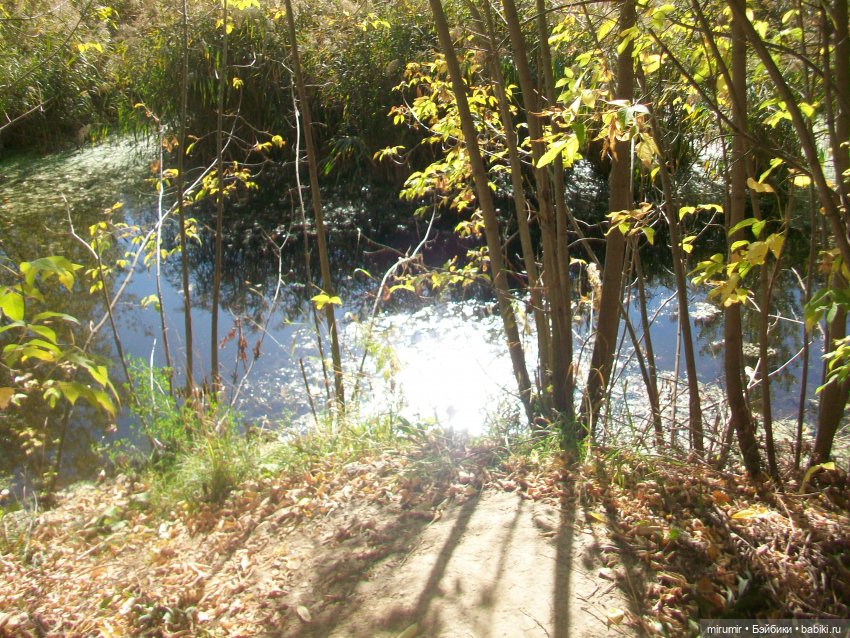 Сентябрь.Озеро Харовое — Игровые куклы разных производителей (Разное): редкие бренды