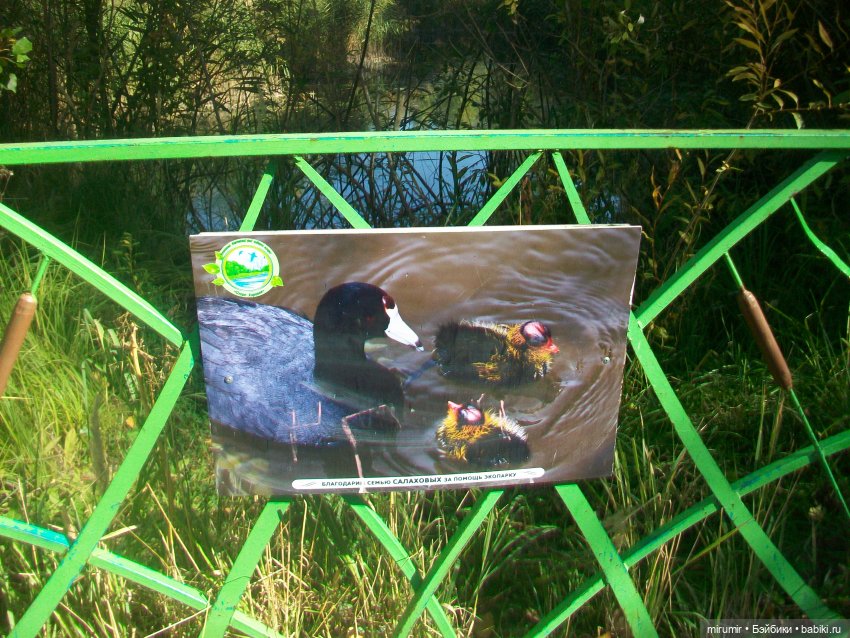 Сентябрь.Озеро Харовое — Игровые куклы разных производителей (Разное): редкие бренды