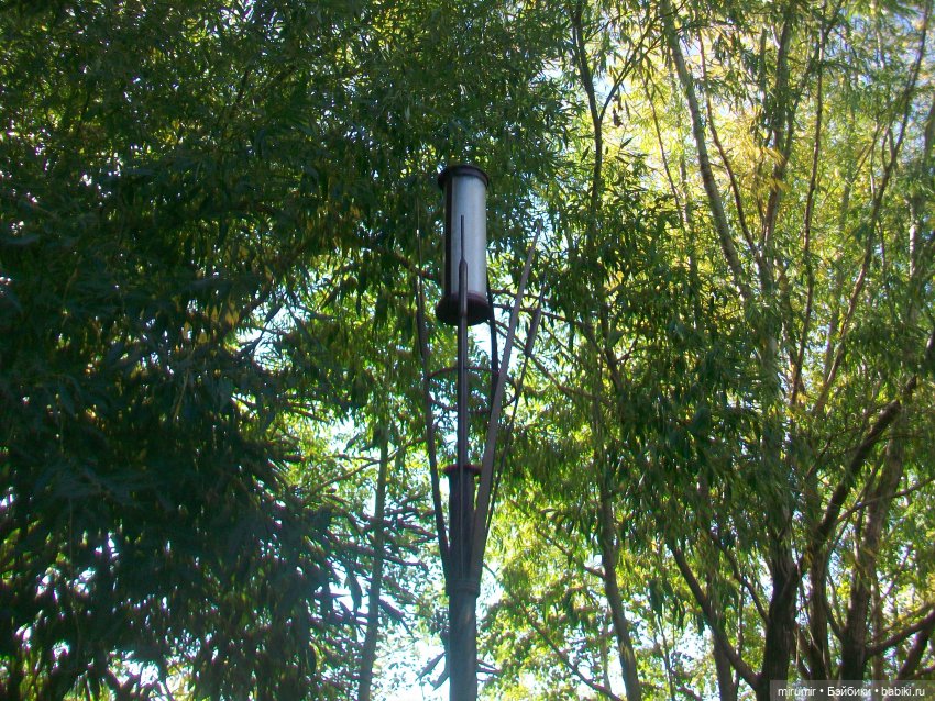 Сентябрь.Озеро Харовое — Игровые куклы разных производителей (Разное): редкие бренды (фото 5)