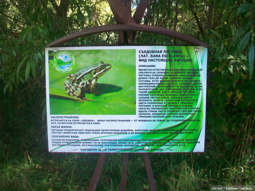 Сентябрь.Озеро Харовое — Игровые куклы разных производителей (Разное): редкие бренды