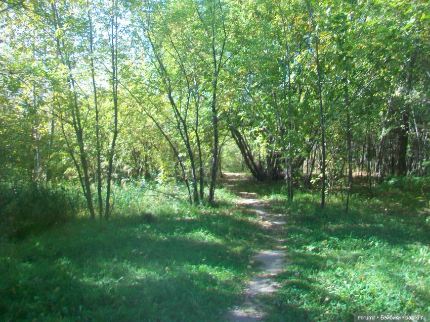 Сентябрь.Озеро Харовое — Игровые куклы разных производителей (Разное): редкие бренды