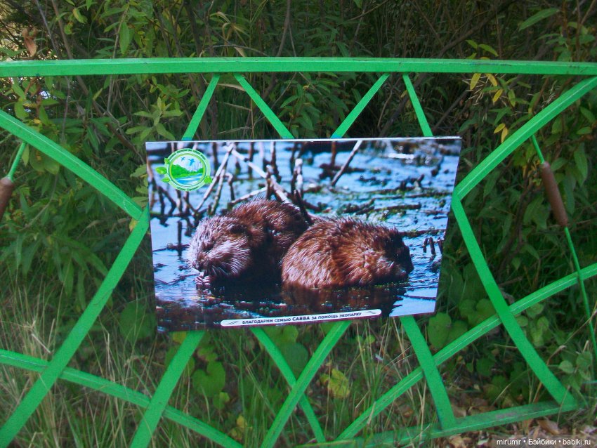 Сентябрь.Озеро Харовое — Игровые куклы разных производителей (Разное): редкие бренды