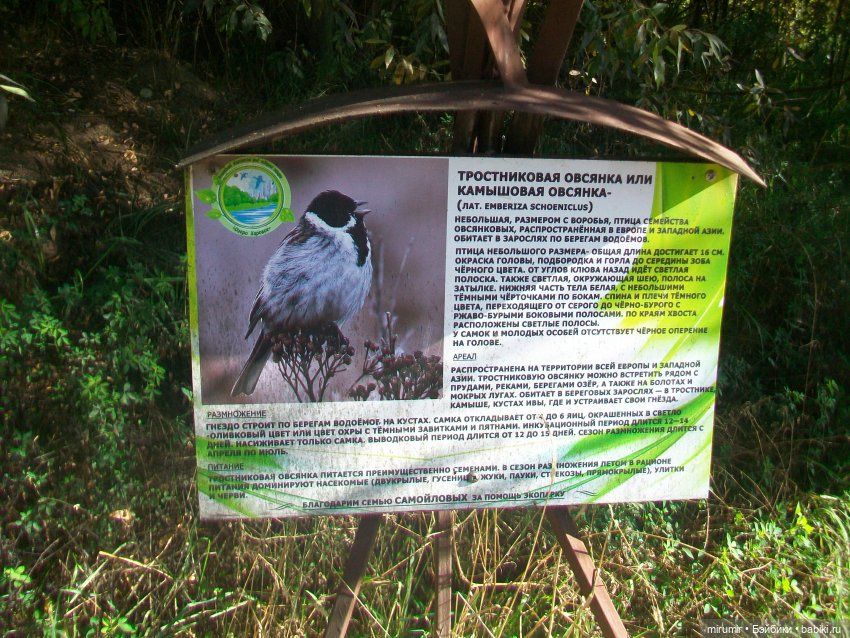 Сентябрь.Озеро Харовое — Игровые куклы разных производителей (Разное): редкие бренды