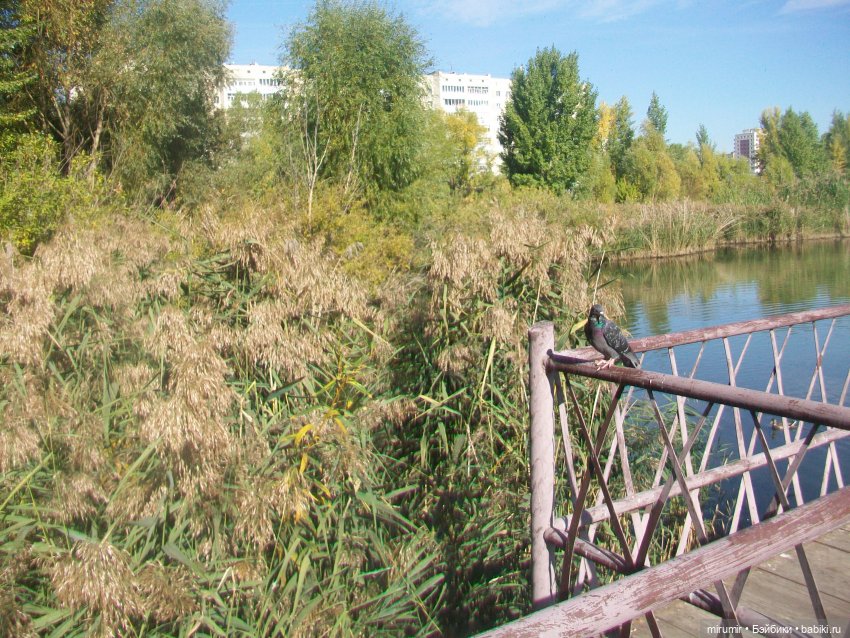 Сентябрь.Озеро Харовое — Игровые куклы разных производителей (Разное): редкие бренды