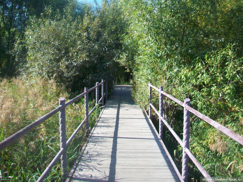 Сентябрь.Озеро Харовое — Игровые куклы разных производителей (Разное): редкие бренды