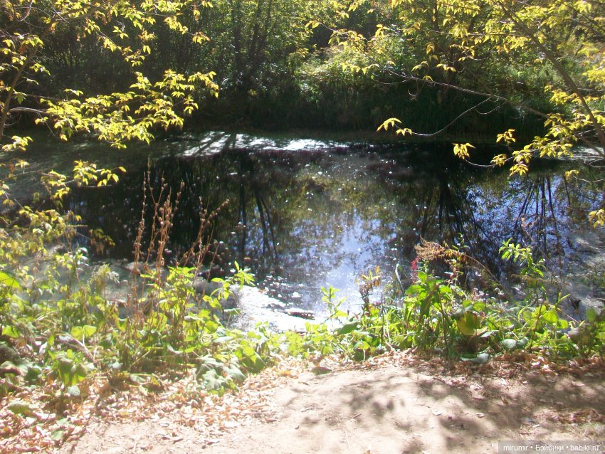 Сентябрь.Озеро Харовое — Игровые куклы разных производителей (Разное): редкие бренды