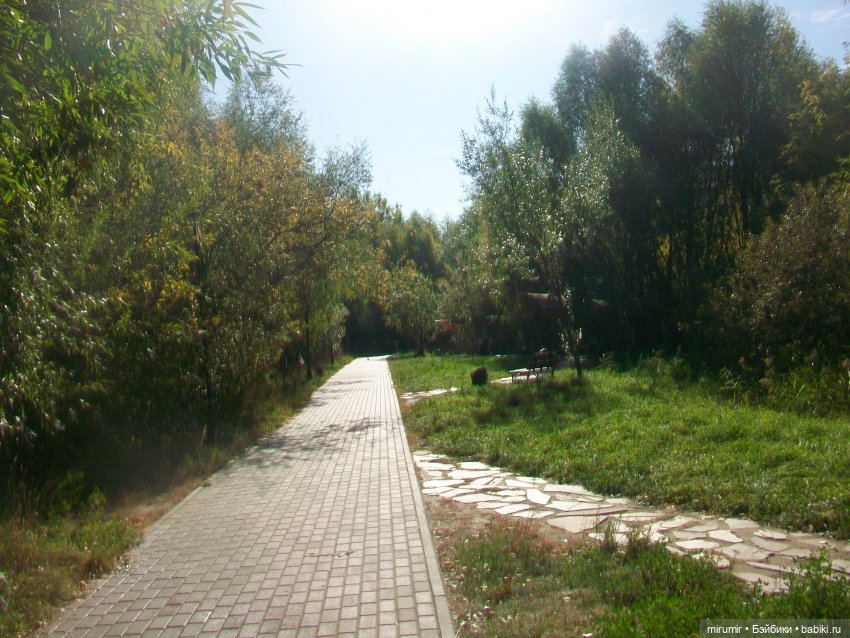 Сентябрь.Озеро Харовое — Игровые куклы разных производителей (Разное): редкие бренды