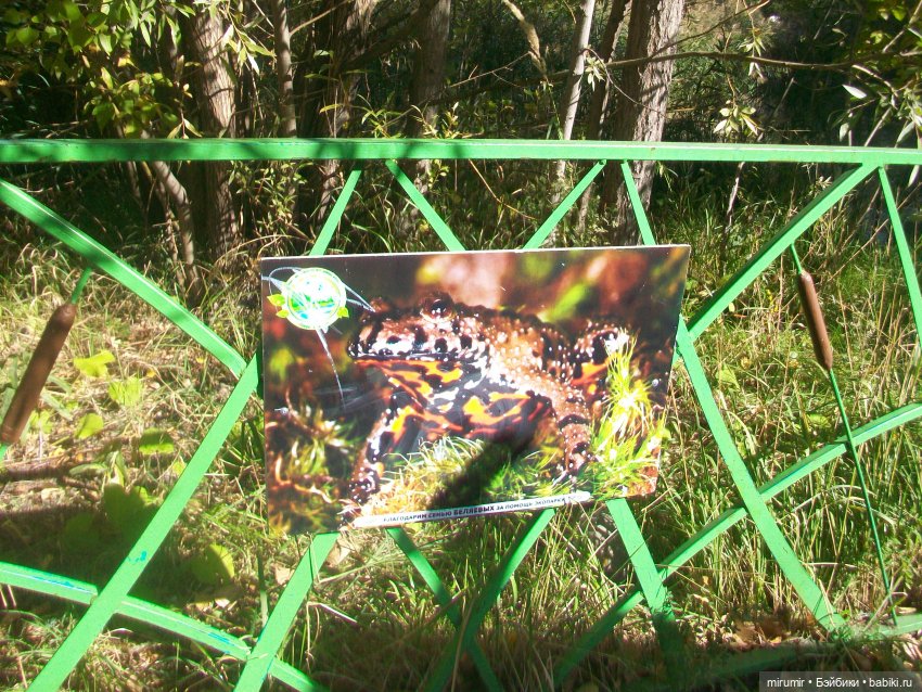 Сентябрь.Озеро Харовое — Игровые куклы разных производителей (Разное): редкие бренды