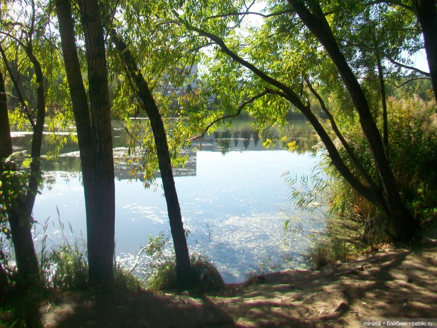 Сентябрь.Озеро Харовое — Игровые куклы разных производителей (Разное): редкие бренды (фото 4)