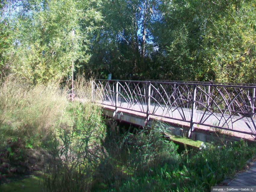 Сентябрь.Озеро Харовое — Игровые куклы разных производителей (Разное): редкие бренды