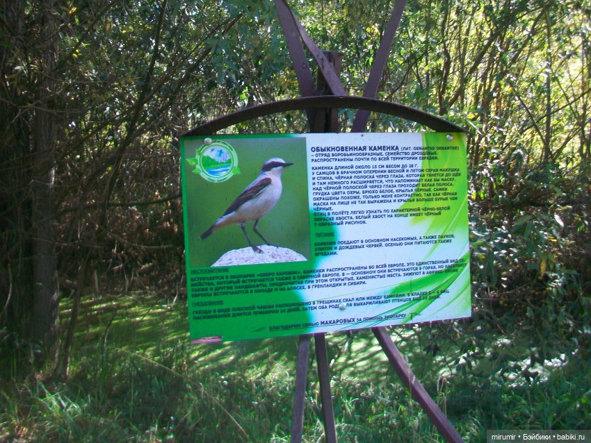 Сентябрь.Озеро Харовое — Игровые куклы разных производителей (Разное): редкие бренды