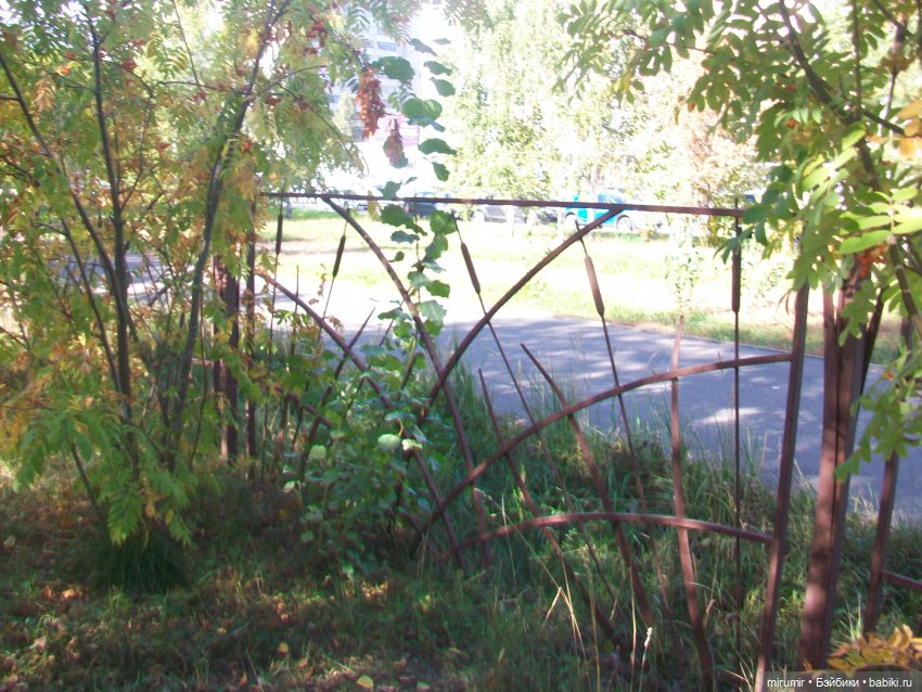 Сентябрь.Озеро Харовое — Игровые куклы разных производителей (Разное): редкие бренды (фото 3)