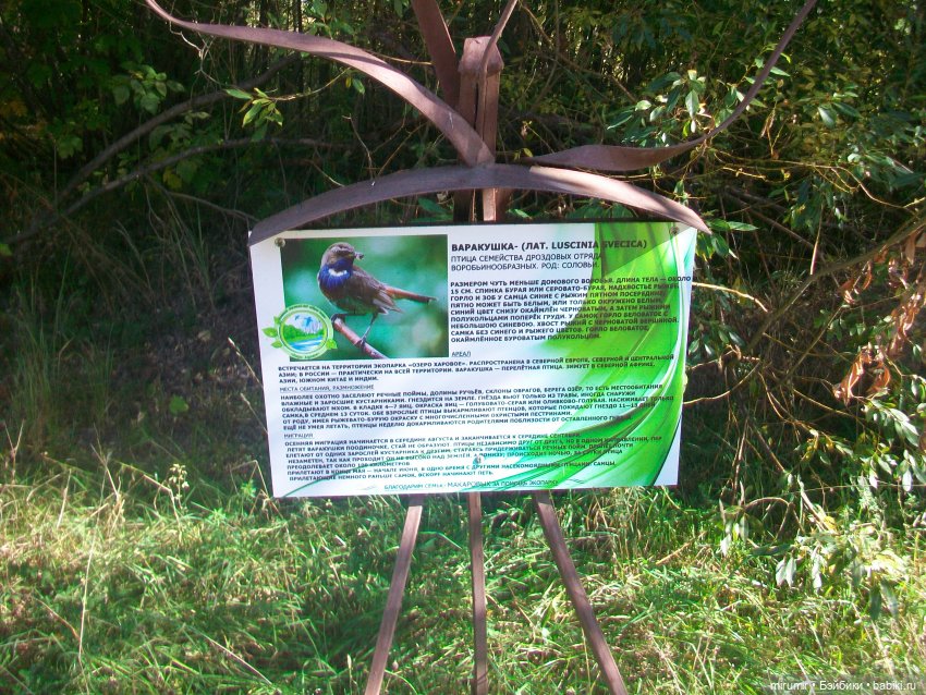 Сентябрь.Озеро Харовое — Игровые куклы разных производителей (Разное): редкие бренды