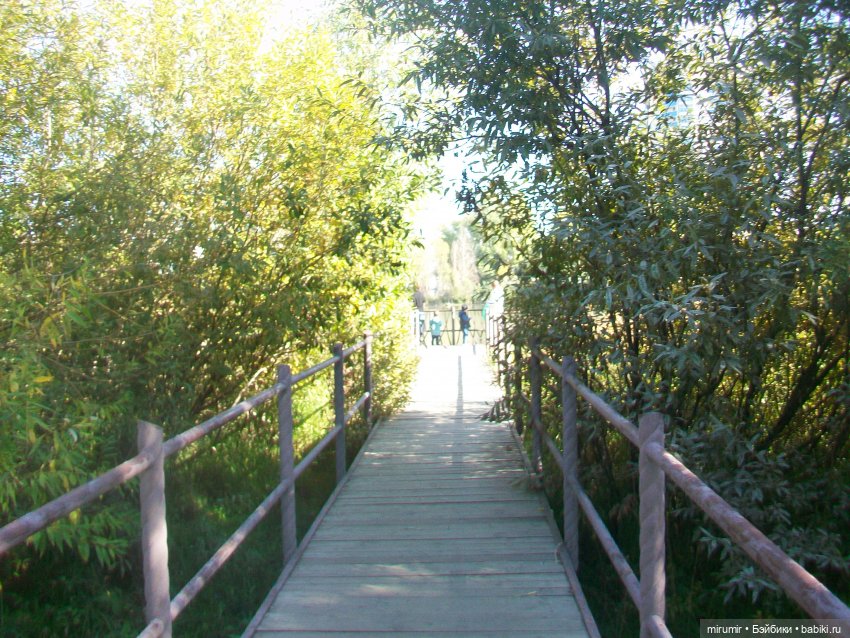 Сентябрь.Озеро Харовое — Игровые куклы разных производителей (Разное): редкие бренды