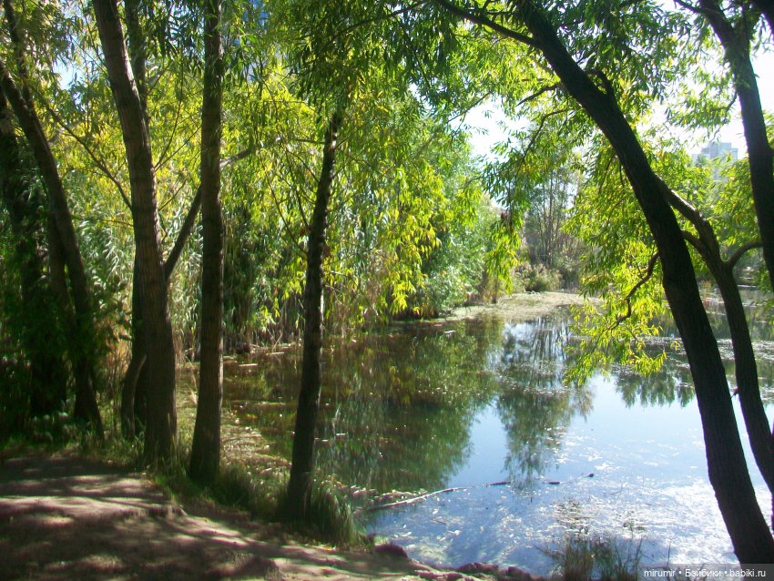 Сентябрь.Озеро Харовое — Игровые куклы разных производителей (Разное): редкие бренды