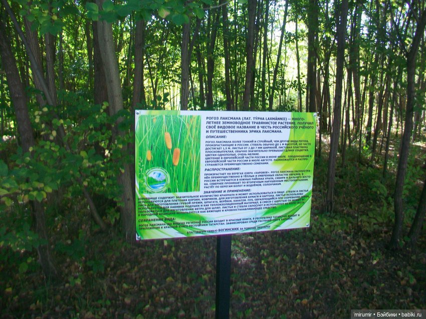 Сентябрь.Озеро Харовое — Игровые куклы разных производителей (Разное): редкие бренды (фото 10)