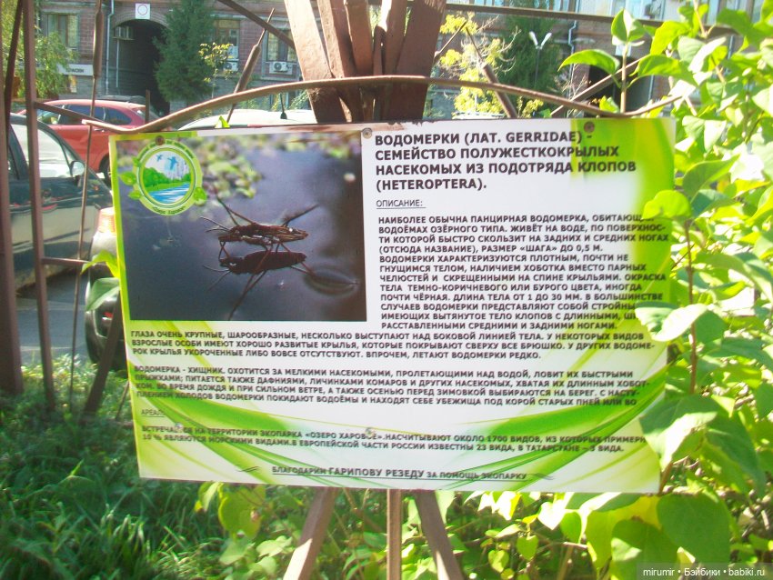 Сентябрь.Озеро Харовое — Игровые куклы разных производителей (Разное): редкие бренды