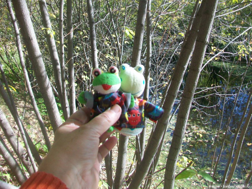 Сентябрь.Озеро Харовое — Игровые куклы разных производителей (Разное): редкие бренды