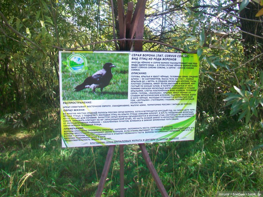 Сентябрь.Озеро Харовое — Игровые куклы разных производителей (Разное): редкие бренды