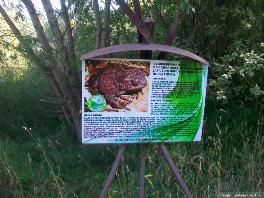 Сентябрь.Озеро Харовое — Игровые куклы разных производителей (Разное): редкие бренды