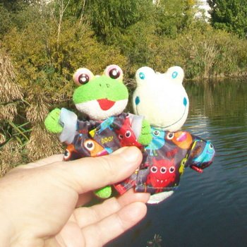 Сентябрь.Озеро Харовое