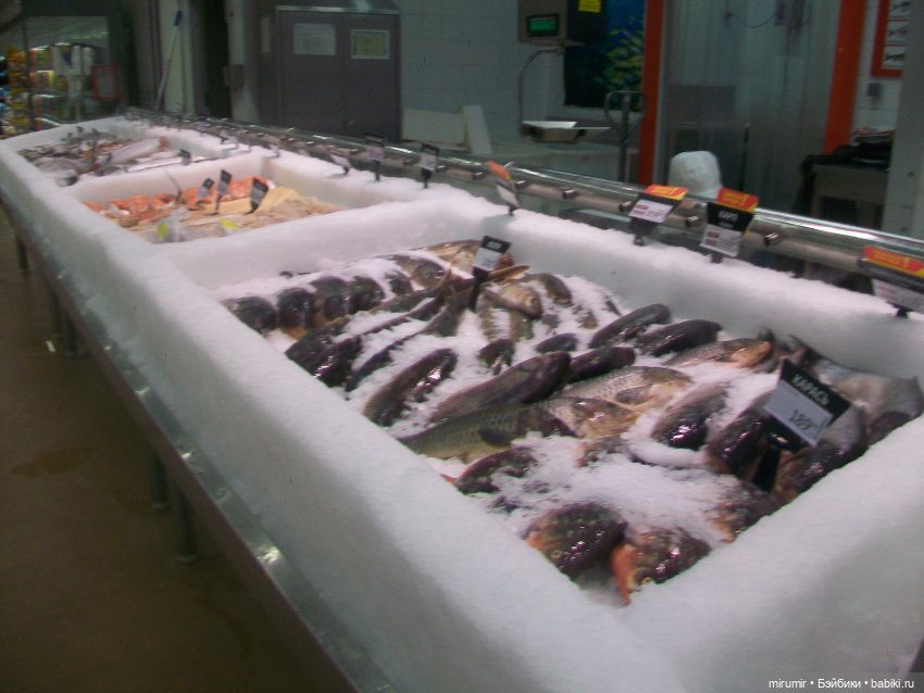 Как мы ходили в АШАНы — Игровые куклы разных производителей (Разное): редкие бренды