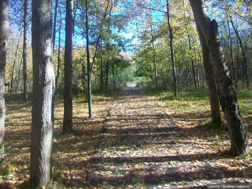 Наш парк осенью — Игровые куклы разных производителей (Разное): редкие бренды