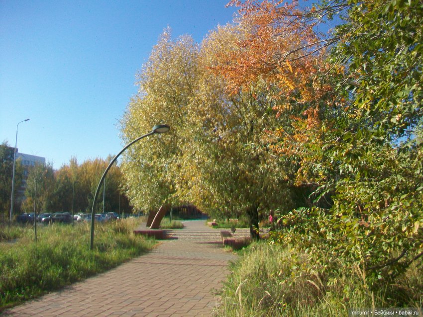 Наш парк осенью — Игровые куклы разных производителей (Разное): редкие бренды