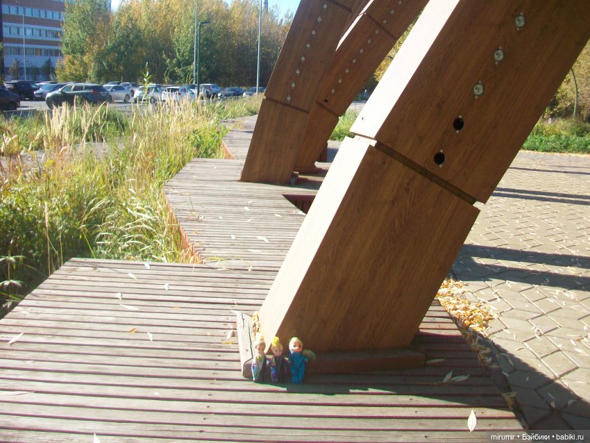 Наш парк осенью — Игровые куклы разных производителей (Разное): редкие бренды (фото 2)