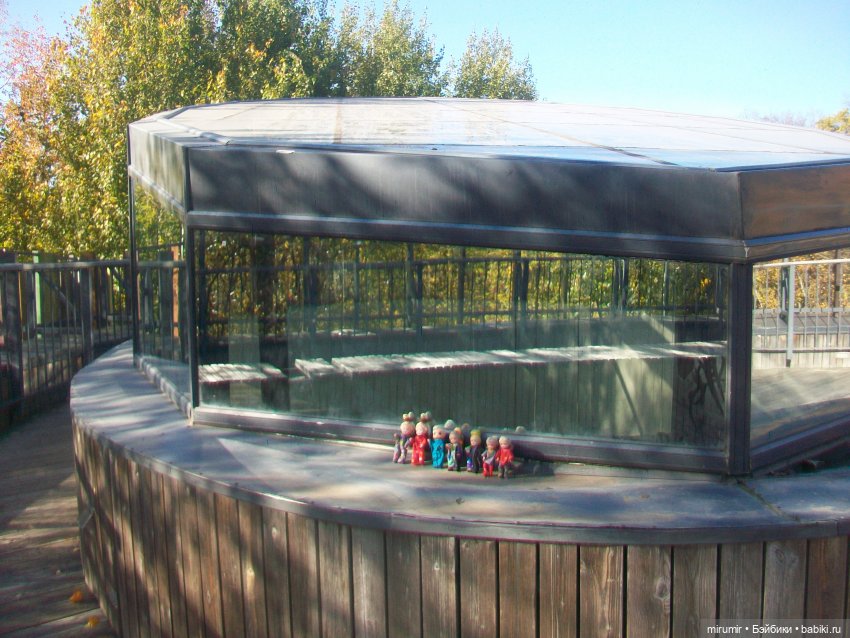 Наш парк осенью — Игровые куклы разных производителей (Разное): редкие бренды