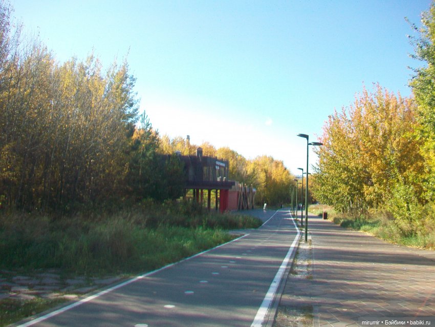 Наш парк осенью — Игровые куклы разных производителей (Разное): редкие бренды (фото 5)