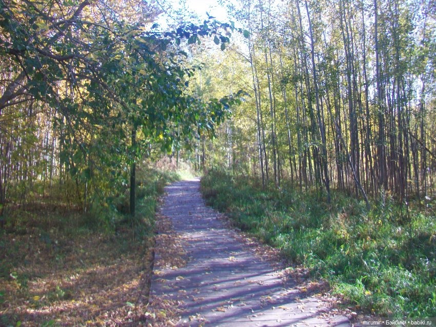 Наш парк осенью — Игровые куклы разных производителей (Разное): редкие бренды