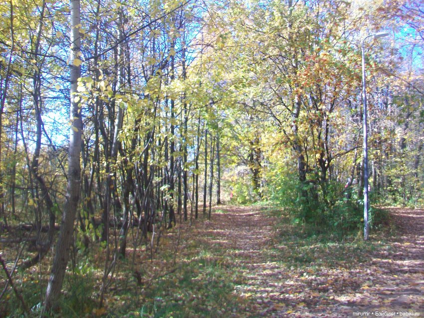 Наш парк осенью — Игровые куклы разных производителей (Разное): редкие бренды