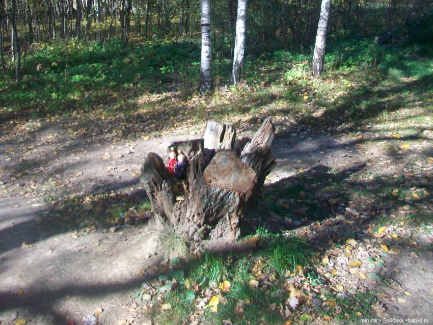 Наш парк осенью — Игровые куклы разных производителей (Разное): редкие бренды