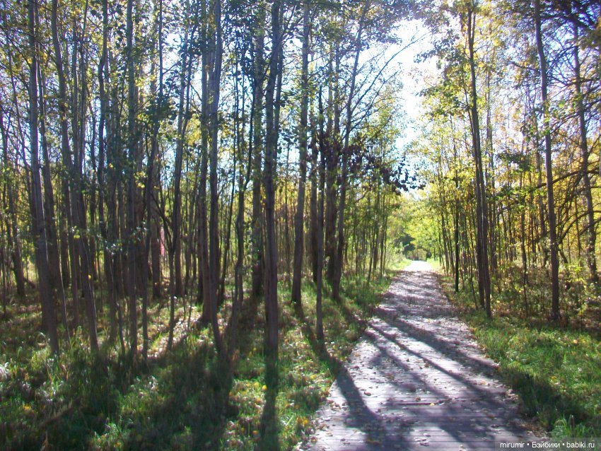 Наш парк осенью — Игровые куклы разных производителей (Разное): редкие бренды