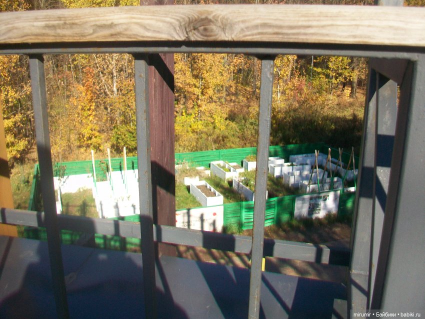 Наш парк осенью — Игровые куклы разных производителей (Разное): редкие бренды