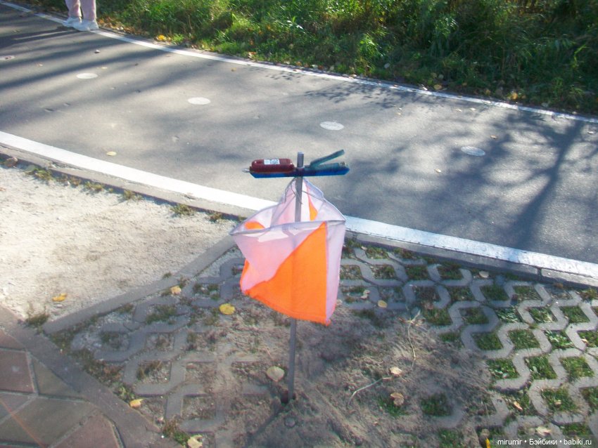 Наш парк осенью — Игровые куклы разных производителей (Разное): редкие бренды (фото 9)