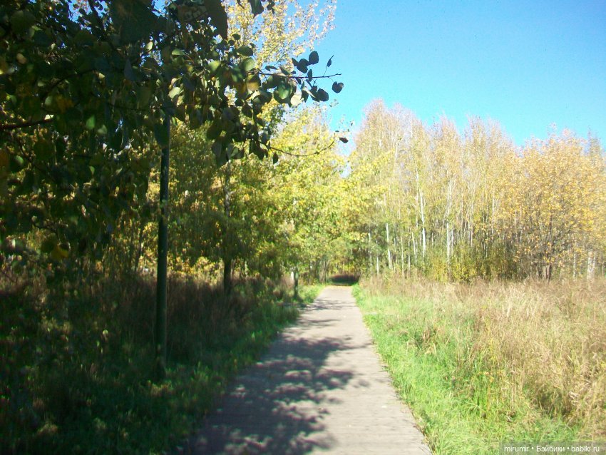 Наш парк осенью — Игровые куклы разных производителей (Разное): редкие бренды