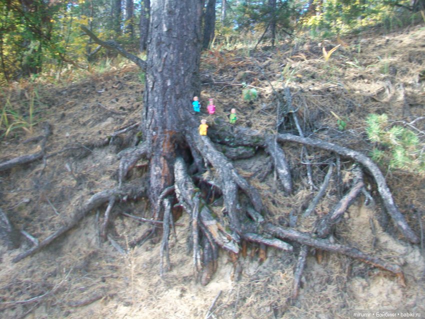 Там же, но другие — Игровые куклы разных производителей (Разное): редкие бренды (фото 6)