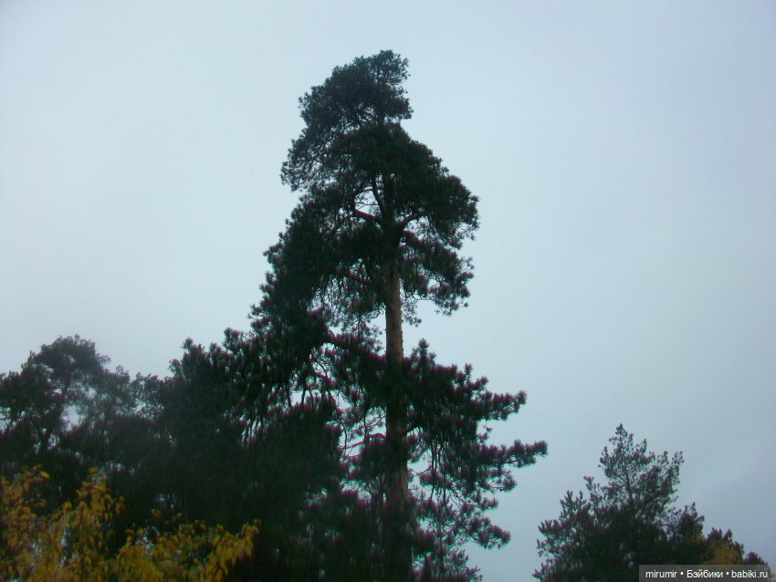 Там же, но другие — Игровые куклы разных производителей (Разное): редкие бренды