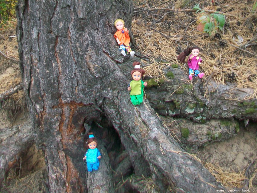 Там же, но другие — Игровые куклы разных производителей (Разное): редкие бренды