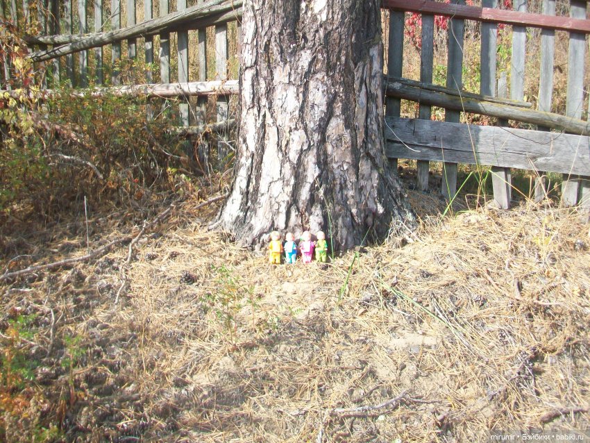 Там же, но другие — Игровые куклы разных производителей (Разное): редкие бренды