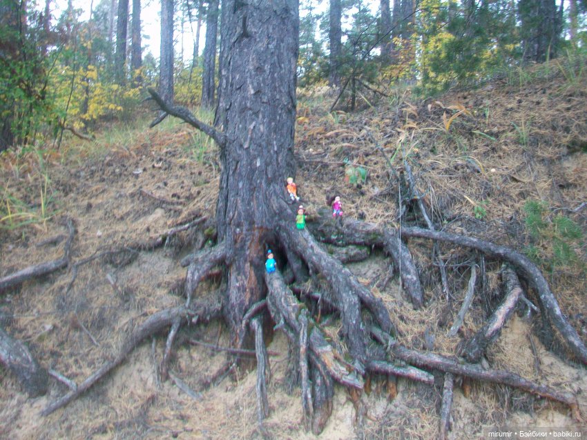 Там же, но другие — Игровые куклы разных производителей (Разное): редкие бренды