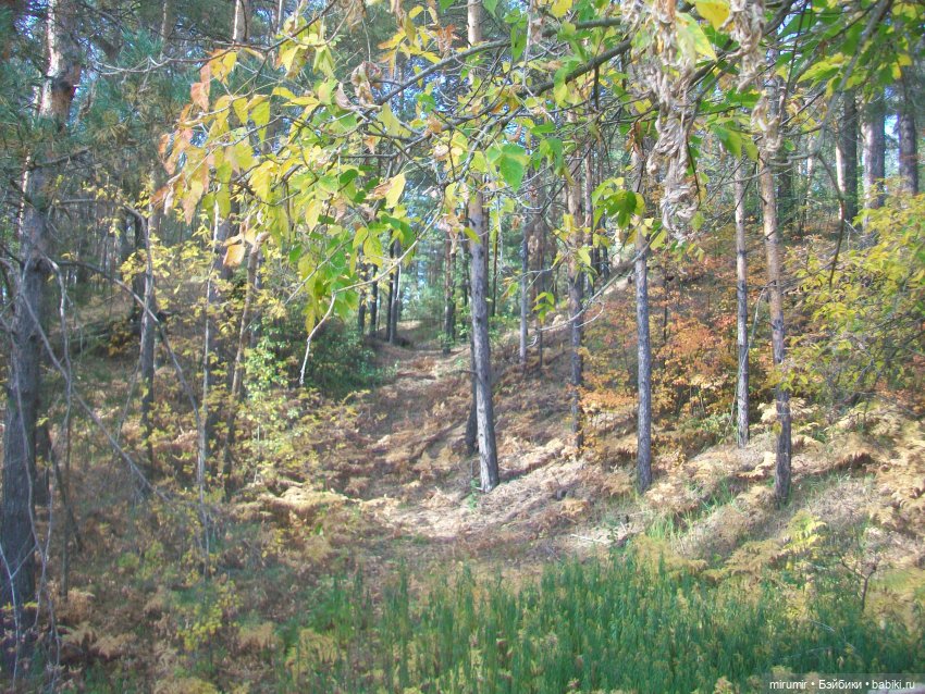 Там же, но другие — Игровые куклы разных производителей (Разное): редкие бренды (фото 8)