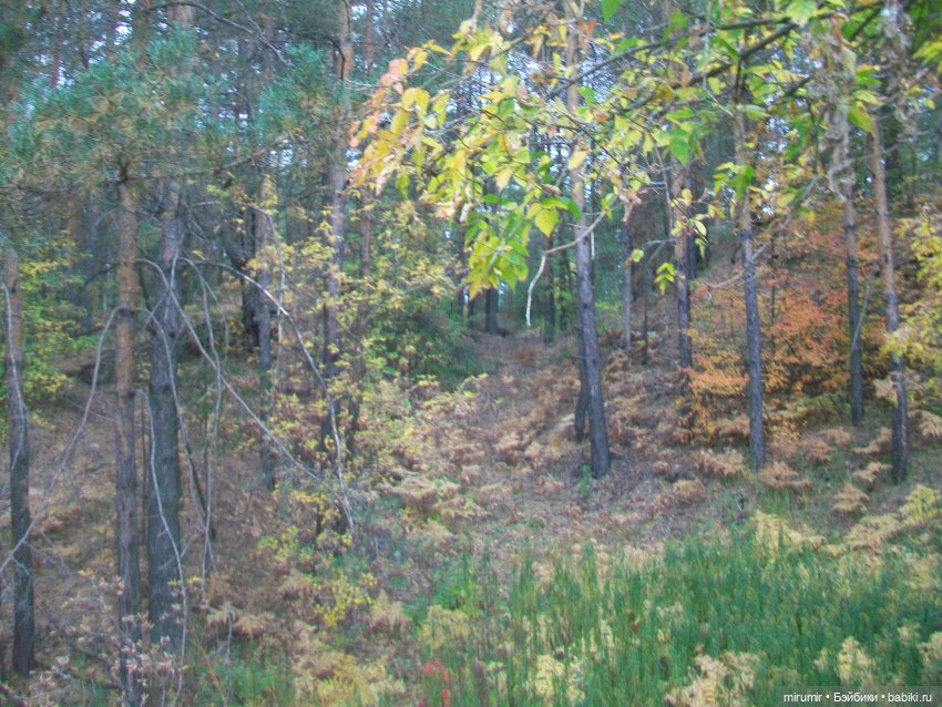 Там же, но другие — Игровые куклы разных производителей (Разное): редкие бренды