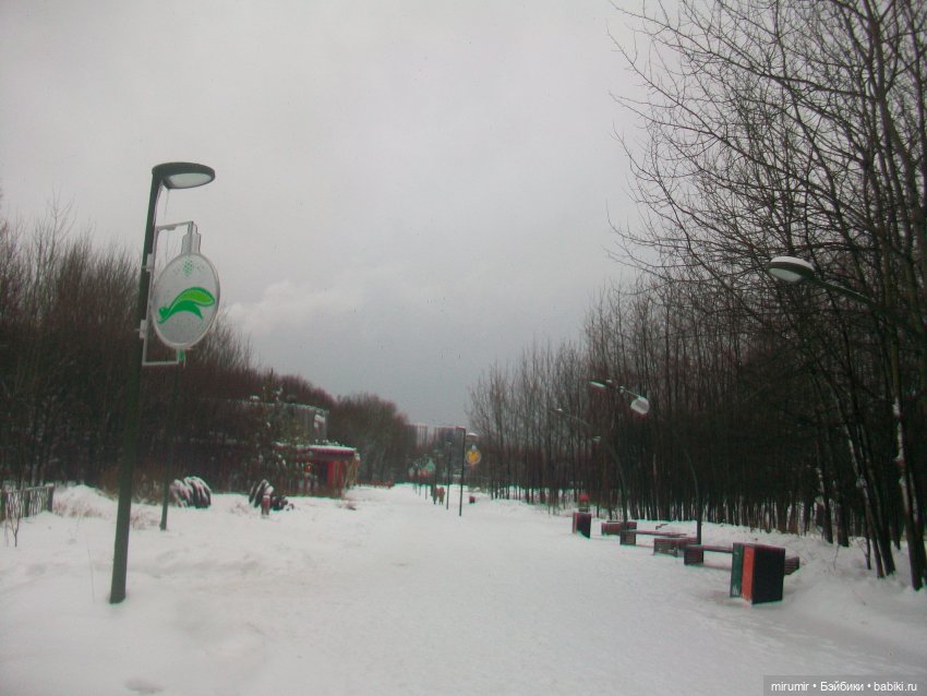 Зима бывает разной — Игровые куклы разных производителей (Разное): редкие бренды (фото 8)