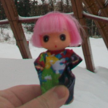 Зима бывает разной