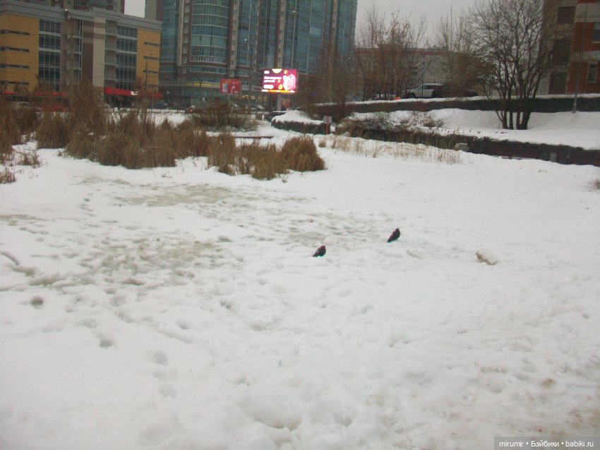 Наше озеро зимой — Игровые куклы разных производителей (Разное): редкие бренды