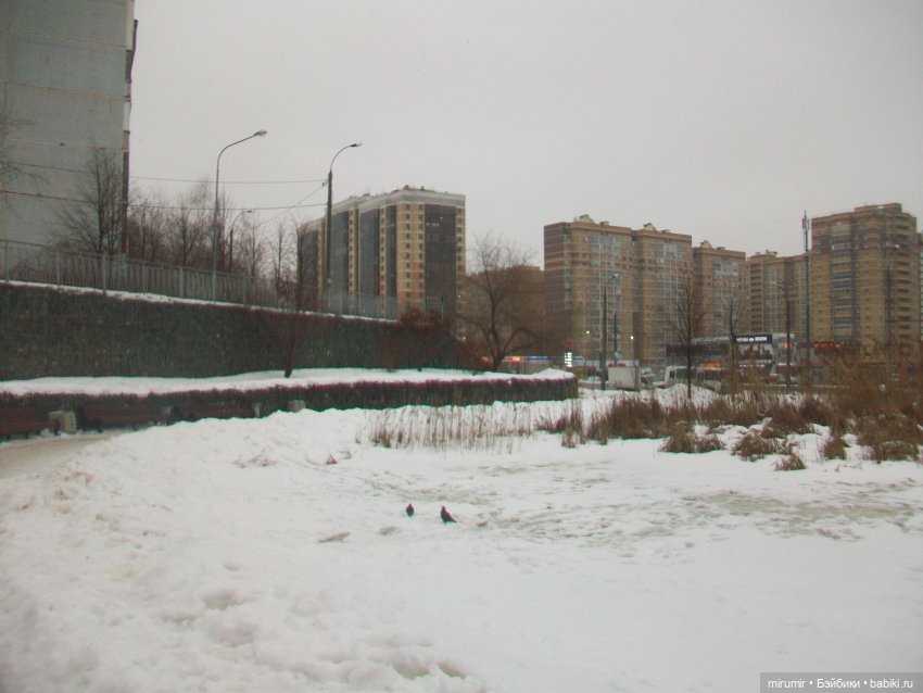 Наше озеро зимой — Игровые куклы разных производителей (Разное): редкие бренды